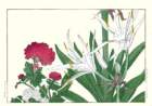41 photo41_small.jpg